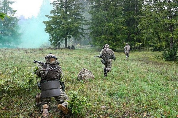 Кракен даркнет отзывы