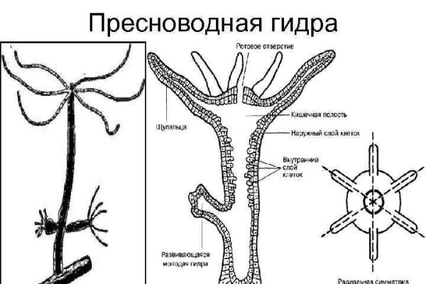 Как зайти в кракен торе